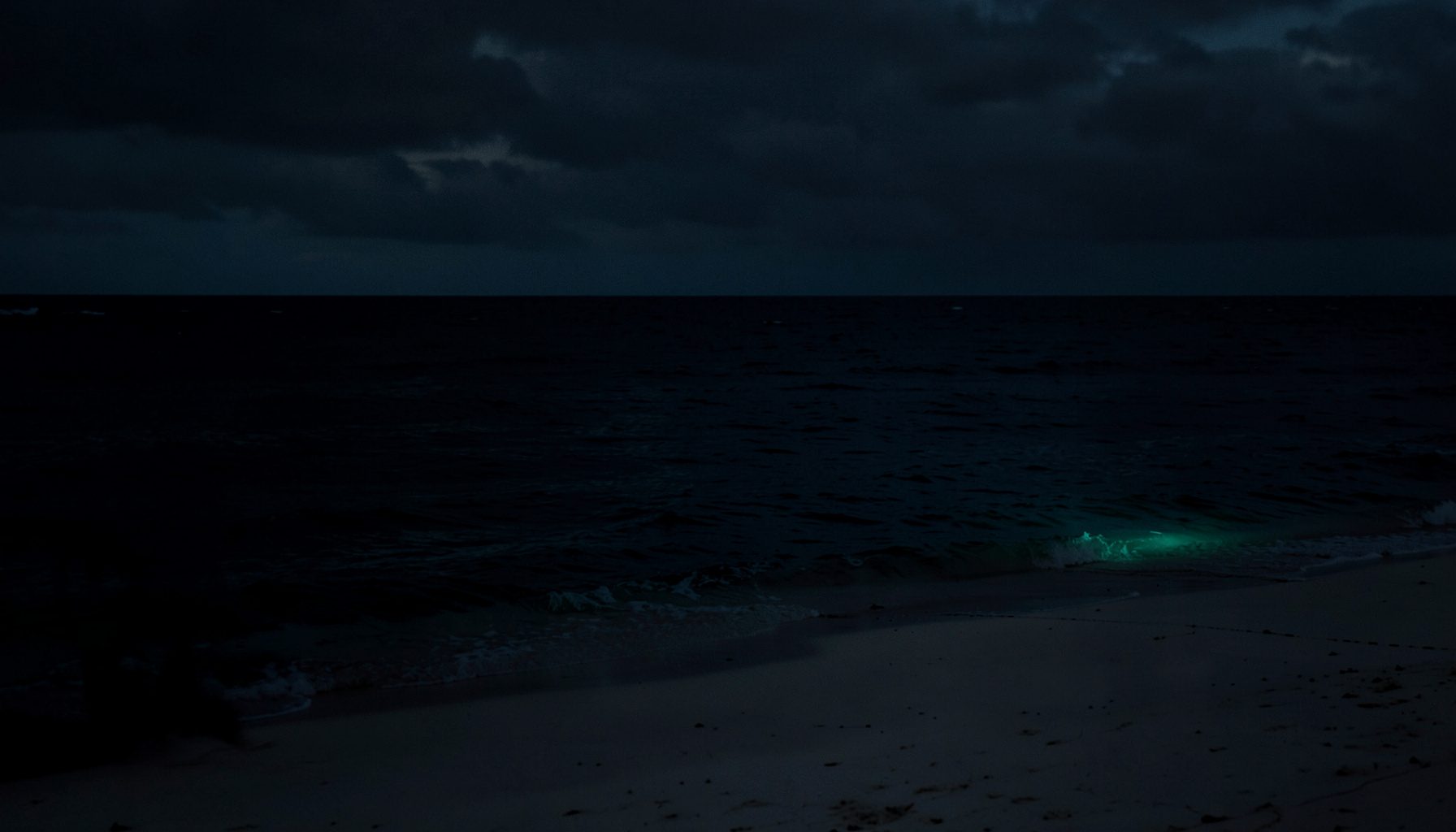 A dark, low-key photograph of a quiet Gulf Coast shoreline at dusk, with deep navy water meeting pale sand under a moody overcast sky.